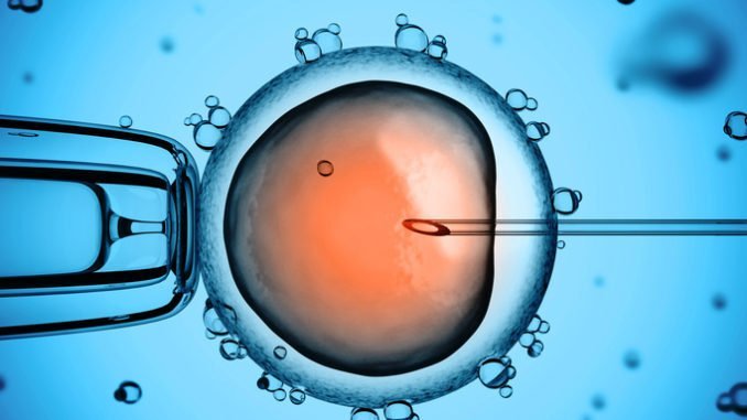 inseminazione artificiale inseminazione artificiale